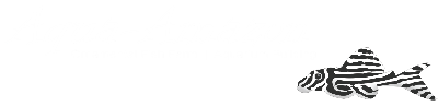 Aqua-Amazon logo web witte letters